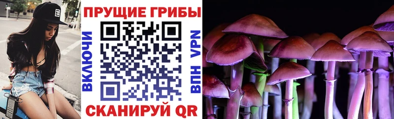 хочу наркоту  Верхняя Тура  Галлюциногенные грибы Magic Shrooms 